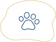 espaco-pet